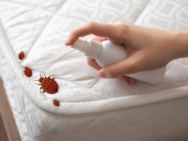 Best Best Pest Control Companies  in Middletown, IN